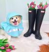 dog+rain+jackets+by+charles+river